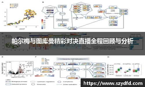 帕尔梅与图库曼精彩对决直播全程回顾与分析
